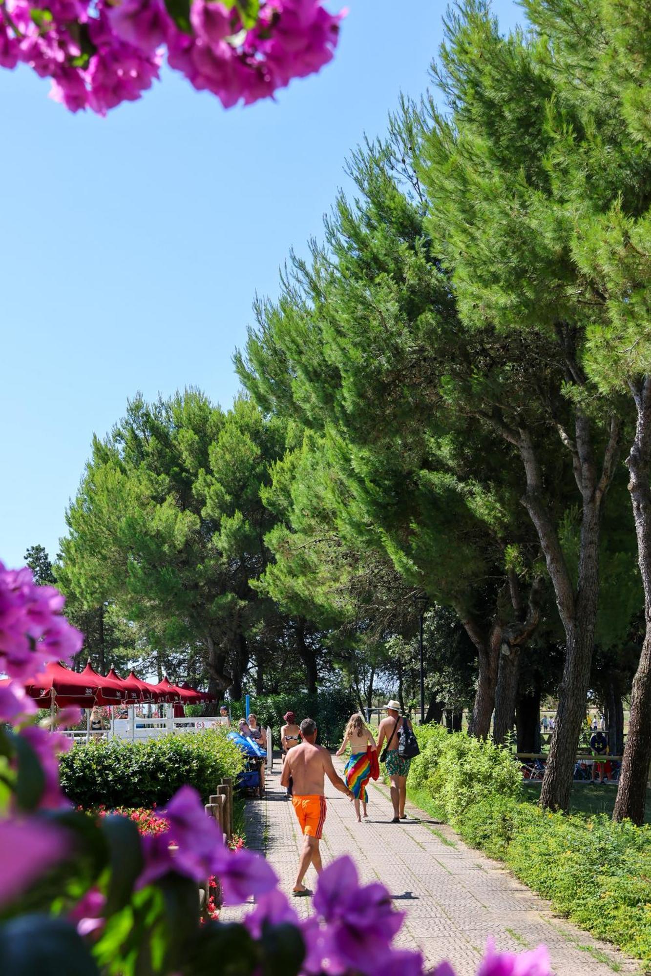 Il Tridente Hotel Bibione Kültér fotó