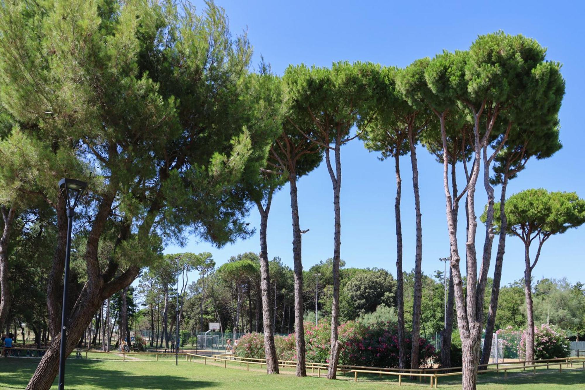 Il Tridente Hotel Bibione Kültér fotó